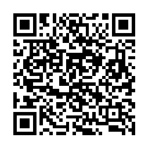 但是那必须是在小小云什么都不跟小小元争的情况下二维码生成
