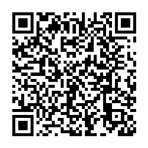 但是那被斩成两半的混沌兽又变成了两只身长二百五十米左右的混沌兽二维码生成