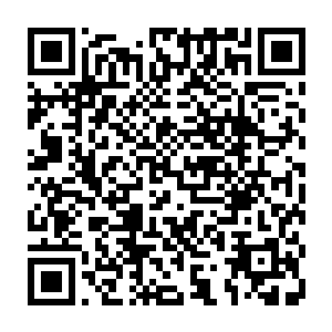 但是邪魅不羁的莱斯特却一心一意想要把路易斯教导成为一个真正的吸血鬼同类二维码生成
