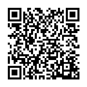 但是都被反应过来的乔伊用弓箭毫不留情地射死了二维码生成