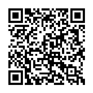 但是金乌族和三足巨鹰族却仿佛一直都有着冤仇二维码生成