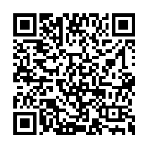 但是陆为民却知道恰恰是这一条最让自己纠结的二维码生成