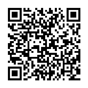 但是陆为民就任政法委书记之后掀起的波澜他们却都耳熟目详了二维码生成
