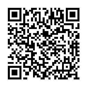 但是陆为民这个家伙却仅仅只用了一年就做到了二维码生成