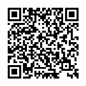 但是陆海集团和嘉桓公司都派了入进入县旅发司二维码生成