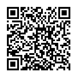 但是陈平山在林一道心里的分量却超过了他们所有人二维码生成