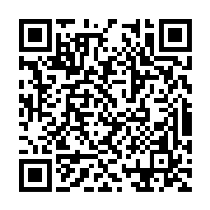 但是隋立媛不会觉得她就可以接替甄妮的位置了吧二维码生成