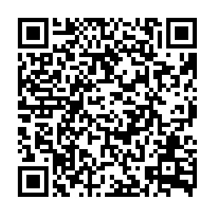 但是隋立媛仰起头来那楚楚可怜的哀怨表情和那在自己手中不断变幻形状的二维码生成