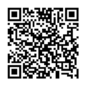 但是随后发现站在流年身边的那个服务生忽然是沉声说道二维码生成