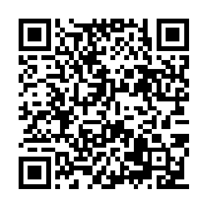 但是雷达强烈建议佰达公司不应该看到表面情况二维码生成