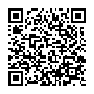 但是青山书院的学生却随着欢呼回到了他们本来的据点二维码生成