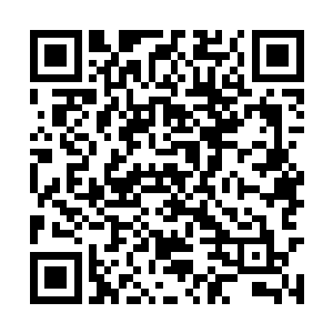 但是青林可不认为自己的人六个还打不过他一个人二维码生成