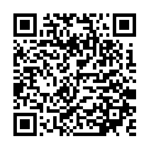 但是非夜属于那种越是千钧一发的时候越是冷静的人二维码生成