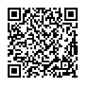 但是颤动的眼皮及竖得高高的耳朵还是出卖了他二维码生成