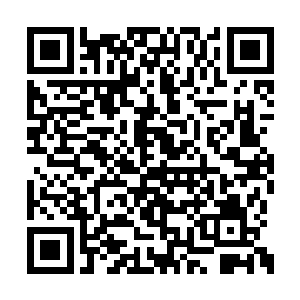 但是风奇泽却在这三个人的背上发现了一个纹身二维码生成