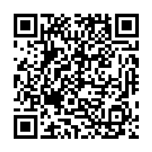 但是马文就压根没想让自己这个还没恢复的弟弟上场战斗二维码生成