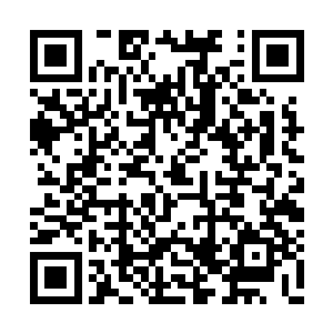 但是高度却远远的超过了川沪大学篮球队的队长二维码生成