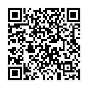 但是高扬觉得黑角城那个遇难的华人如果真的是李金方二维码生成