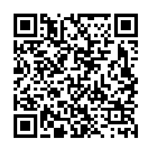 但是魏大平既然能再督察支队长这个位置上打磨好几年二维码生成