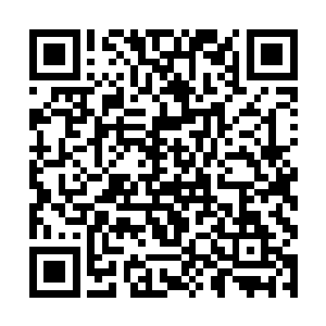 但是魔族修士想要一对一的情况下杀了我们也不容易二维码生成