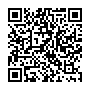 但是龙傲天还要分心保护这些学员龙傲天自然也是不敢大意二维码生成