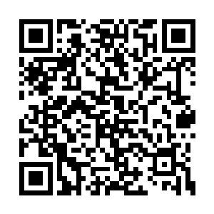 但显然也在血脉当中掺杂了大量的炼狱混乱意志二维码生成