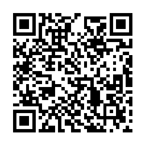 但显然他们都看出了夏天的魄力和随机应变的能力二维码生成