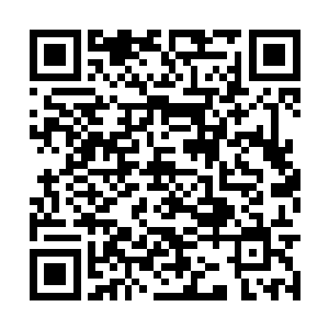 但显然除了洪奇能大概猜到他是因为什么事情受伤二维码生成