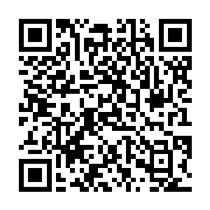 但景仁宫门口总是会来来回回的路过一些其他宫的宫人二维码生成