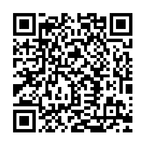 但更令人匪夷所思的是一纤细的根系这个空间的上空蔓延下去二维码生成