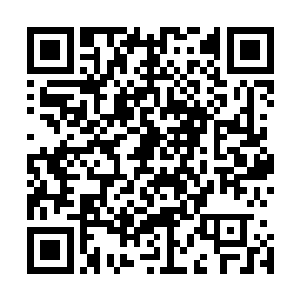 但更多的是看向了刚才推荐顾盼盼的那个土鳖样的家伙身上二维码生成