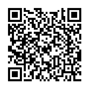 但更多的还是被自豪淹没――虽然这么说有点奇怪二维码生成