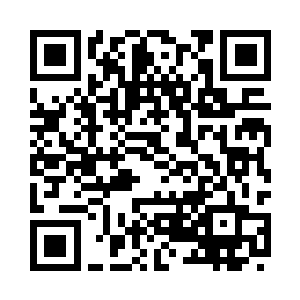 但曾最强战士此时对严默信任非常二维码生成