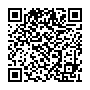 但最主要的恐怕还是杜家的那个老家伙没有突破二维码生成