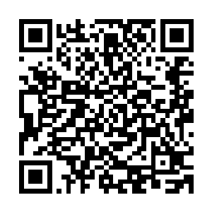 但最后都无一例外由外族入侵给整个华族造成巨大的灾难而终结二维码生成