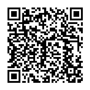 但最想有点行动力的老蒋和支持拓展出去的老白竭力帮忙缓和气氛二维码生成