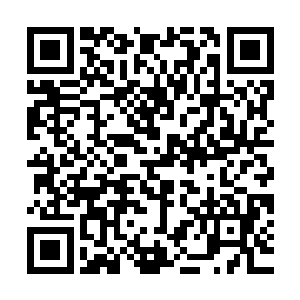 但最终他们并没有等来皇家马德里俱乐部解雇佩莱格里尼的消息二维码生成