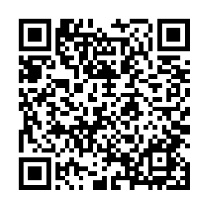 但有一道黑色从眉心蔓延到尾巴尖的鼬直立着走了出来二维码生成