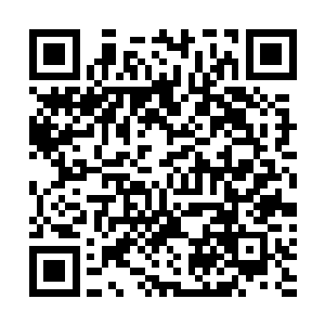 但有没有可能接镖途中找到心目中的理想职业忽然撂挑子二维码生成