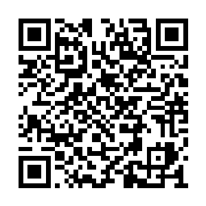 但有的时候盲目行动比什么都不做还要来的要命二维码生成