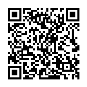但本来被他抓住胳膊的任幽草不知为什么没有一同出现在身边二维码生成