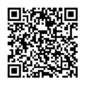 但机灵点的军医立刻就看见皮卡车车斗里装着的军装二维码生成
