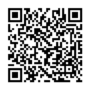 但杜克从来不介意以最恶劣的眼光来看待这个圈子二维码生成