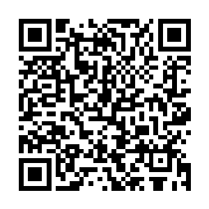 但杜克从来就没有忽视过那数以百计的技术人员和制作人员二维码生成