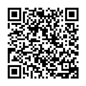 但来到这个世界的时间却要比玥儿早了十数年……二维码生成