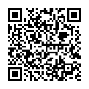 但杨开却清楚地从那楼船上感应到了两道强大的气息二维码生成
