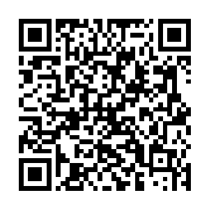 但杨开却能从这些村民们直来直往的行事风格中感受到二维码生成