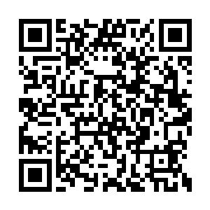 但极光苍焱的威力毕竟是距离上品中等只差一筹二维码生成