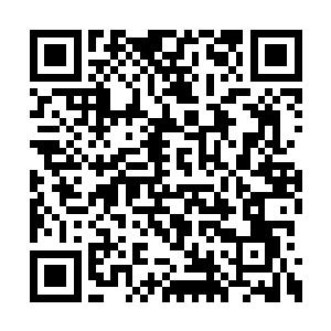 但林封谨发觉自己的大脑的活动反而格外的剧烈二维码生成