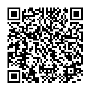 但林小乖还是觉得有必要让四胞胎和大儿子之间的关系更亲密一些二维码生成